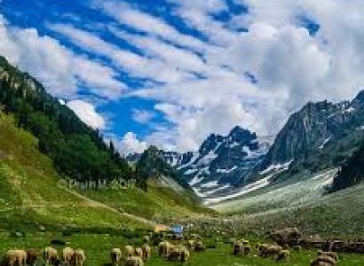 8 Nights 9 Days Package for Kashmir Trip