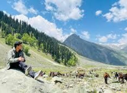Kashmir Honeymoon - Romance In The Valley 8 Days Tour