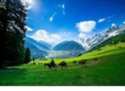 Kashmir Nature - Wildlife Tour 7 Days