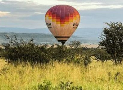1 Day Akagera National Park Safari From Kigali