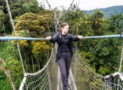 3 Day Safari In Nyungwe National Park - Lake Kivu Experience Tour