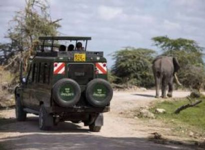 4 DAYS AMBOSELI NATIONAL PARK SAFARI (2026)