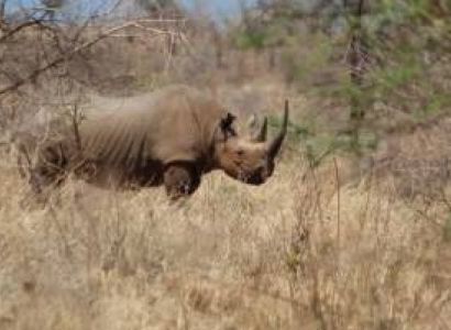 6 Days Lake Nakuru National Park