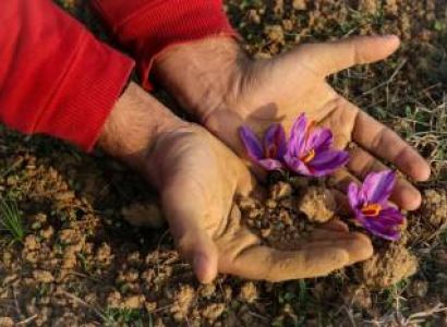 5 Nights and 6days Kashmir Tour