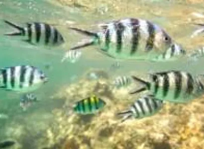 2 Day Watamu Marine National Park Tour