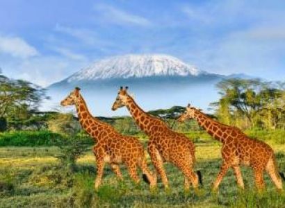 7 Days Kenya Safari Tour