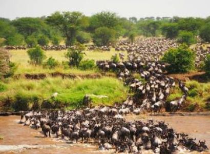 6 Day Botswana Safari Tour