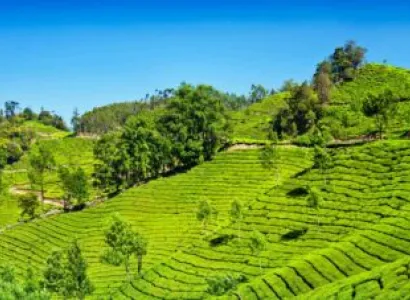 3 Night Trip To Munnar