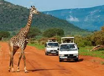 3 Days 2 Nights Tsavo East & Tsavo West