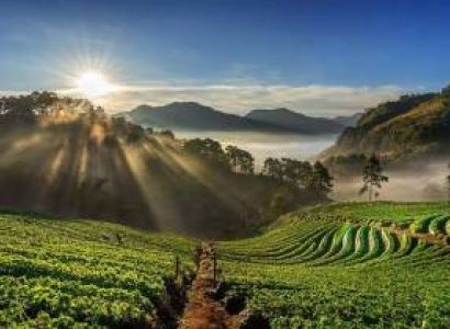 Sikkim Darjeeling 4 Night - 5 Days Package