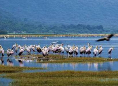 3-Days Safari To Ngorongoro Conservation Area, Tarangire And Lake Manyara National Park From Arusha