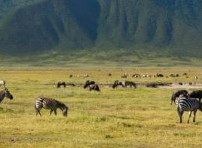 4-Day Exciting Wildlife Safari Across Tanzania's National Parks
