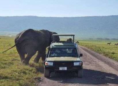 5 Day Luxury Safari Adventure