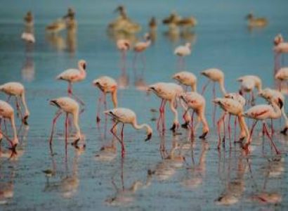 7-Day Northern Tanzania Safari in Serengeti, Ngorongoro, Tarangire and Lake Natron