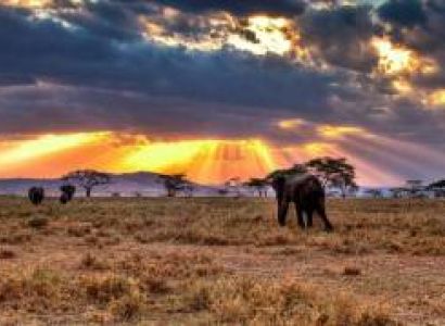 7 Day Special Luxury Safari