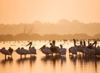 8 Days Tanzania Luxury Safari