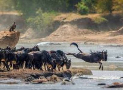 6 Days Serengeti Luxury Safari