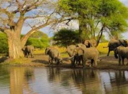 4 Day Tanzania Luxury Wonder Safari