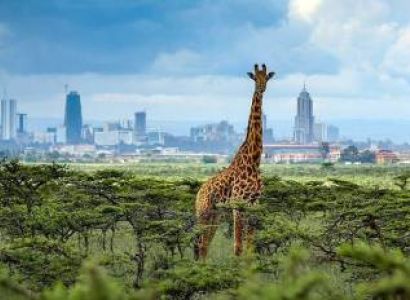 7 Nights - 8 Days Nairobi Tour Package
