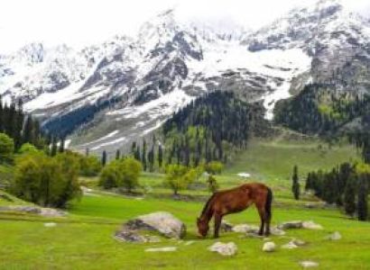 5N - 6D Kashmir Magic Tour Package
