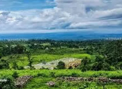 The Gorumara - Lataguri Circuit - Western Dooars Tour