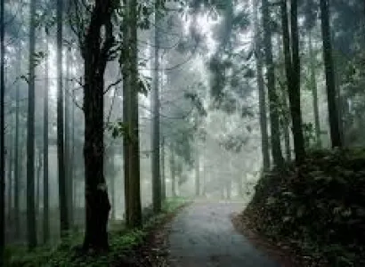 The Offbeat Dooars - Lava - Lolegaon Tour