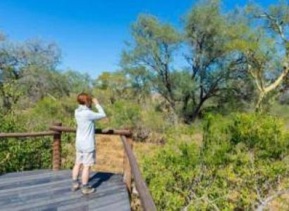 6Day Northern - Southern Sky Private Economical Safari Tour