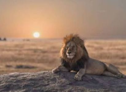 4 Day Amazing Tarangire - Serengeti And Ngorongoro Adventure Tour