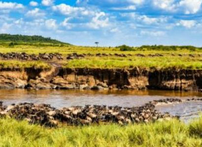 2 Nights - 3 Days Maasai Mara Safari - Platinum Package