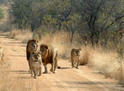 2 Days / 1 Night Mikumi Safari