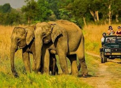 Corbett Wildlife Safari Package From Delhi