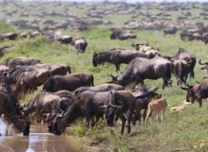 Zanzibar Tour Package - 1 Day Standard