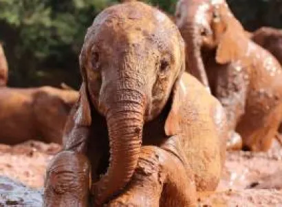 2 Days Nairobi Extravaganza Experience