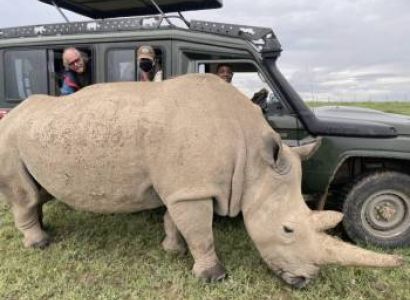 Classic Northern Safari 4 Days Safari Tour