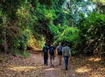 Rau Forest Monkey Tour