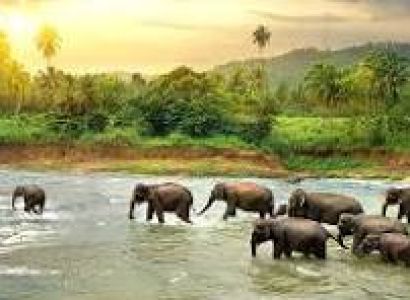 SRI LANKA 5 Nights 6 Days