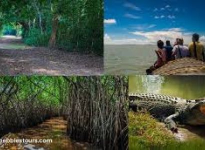Dangamal , Bhitarkanika Sanctuary Wildlife Trip 2N/3D