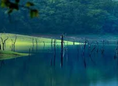 Thekkady, Cumbummettu Package (2N/3D)