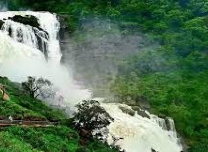 Coorg Tour 2N/3D Coorg