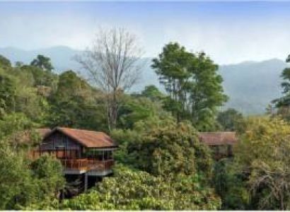 Wayanad Package for 2 Night 3 Days