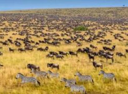3 Days Kenya Safari - Maasai Mara Tour