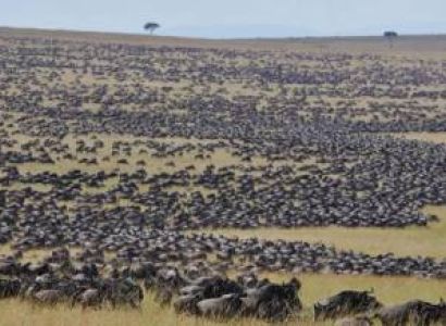 3 Days Masai Mara Wildlife Safari Tour
