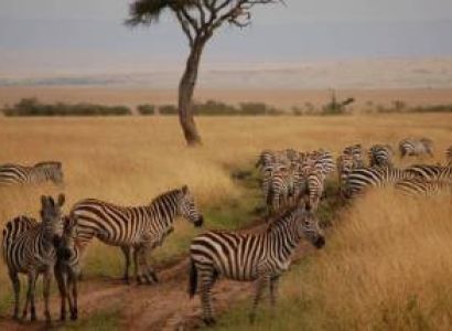 2 Day Lake Nakuru And Hell's Gate Kenya Tour