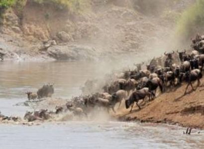 7 Days Masai Mara Wildebeest Migration Safari Tour