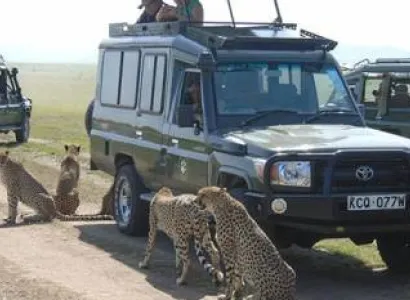 8 Days Best Of Kenya Luxury Safari Tour