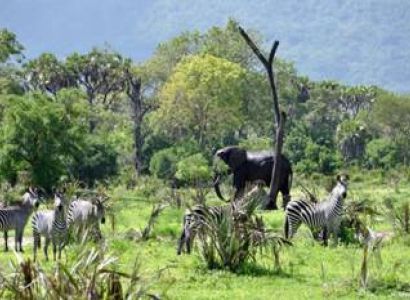 5 Day Tribes Of Tanzania Safari Tour