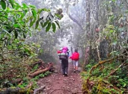 8 Days Mount Kilimanjaro Machame Route Tour