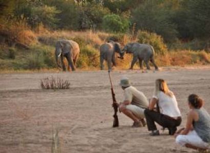 8 Day Flying Safari Ruaha - Selous Tour By Air
