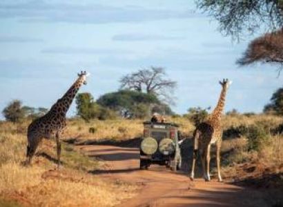 10 Days tour - Hakuna Matata Tanzania Safari