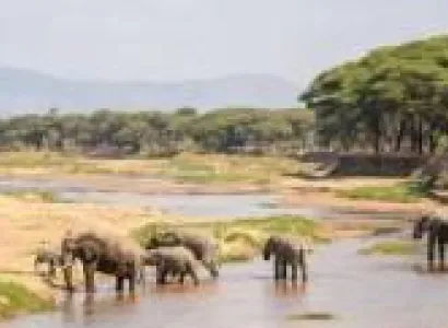 3 Days Safari - Lake Manyara - Ngorongoro Conservation Area - Tarangire National Park Tour